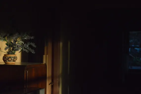 Trada Kazino Pagalba